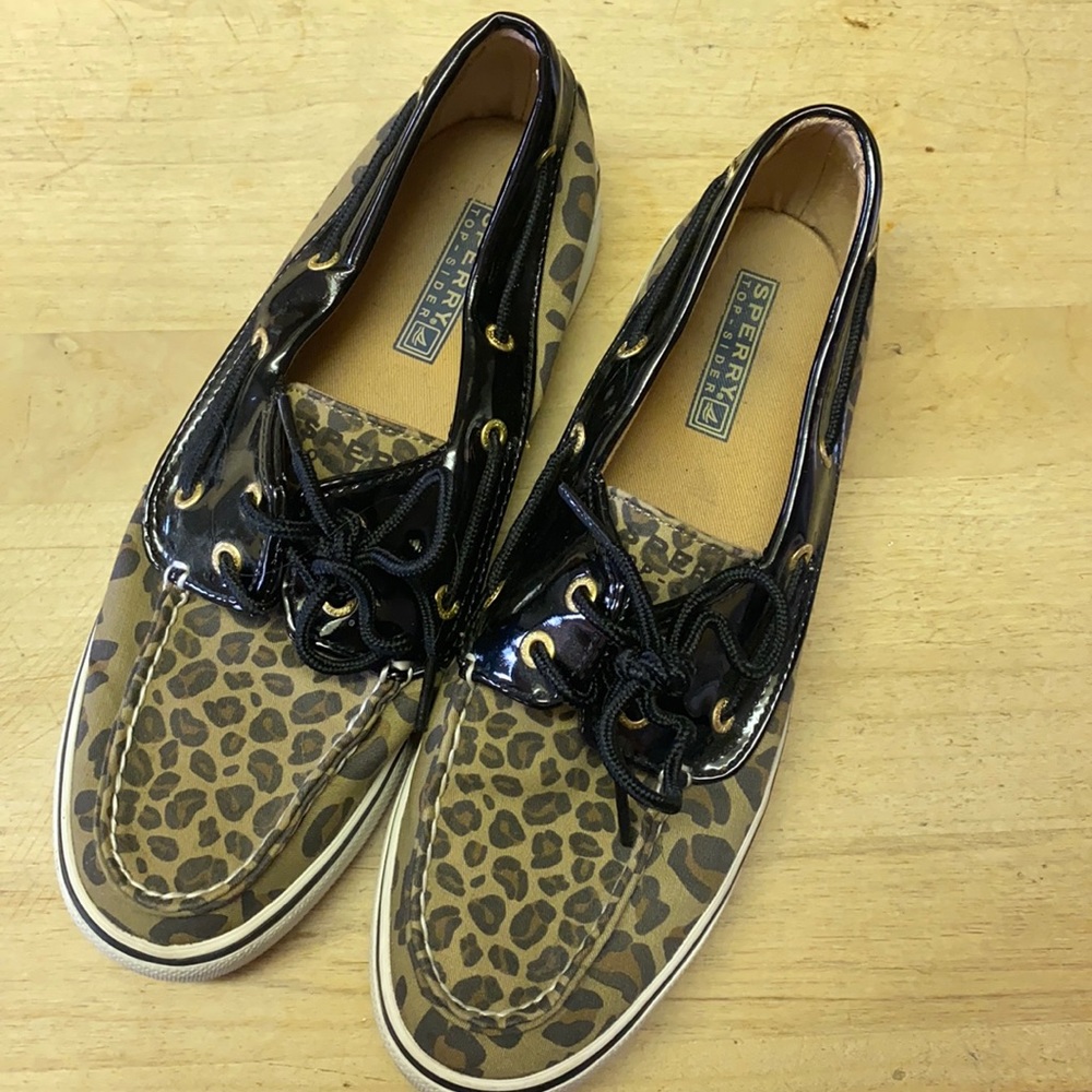 Sperry slider shows